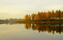 Autumn landscape