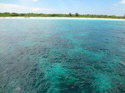 Looking from ocean to beach