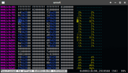 hex editor