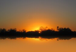 Sunset and bush reflecting