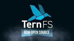 open-sources TernFS