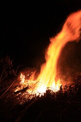 Plume of flame at an evening bonfire