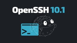 OpenSSH 10.1 logo