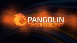 Pangolin tunneled reverse proxy