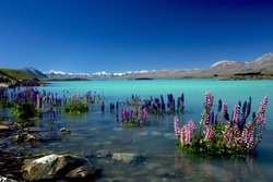 Picturesque Lake Landscape