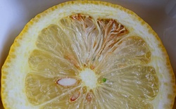 Close view of a spoilt area inside a ripe lemon