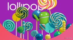 lollipop