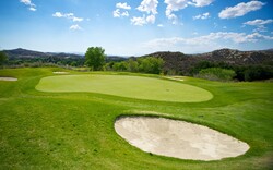 Green of a California golf course in the early summer.