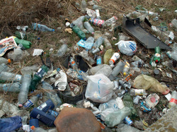 Illegal dump near a forest, heavily damaging the nature