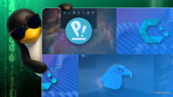 penguin behind many different distros