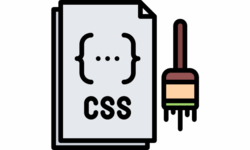 CSS