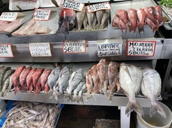 Fish Market