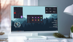 Freedom vs. pragmatism