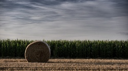 Landscape in Lower Austria