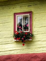 Window With Flowers
