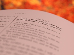 Psalm 118 Image for Thanksgiving