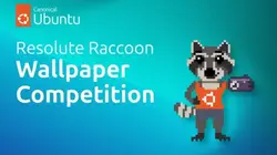 resolute raccoon wallpaper competition
