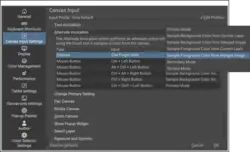 canvas input settings