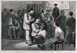 Chinese Life in California