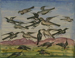 The Anvār-i Suhaylī or Lights of Canopus — commonly known as the Fables of Bidpai in the West — is a Persian version of an ancient Indian collection of animal fables called the Panchatantra.