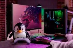Linux gaming