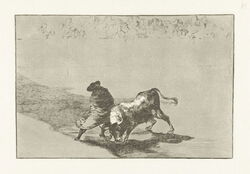 Bullfighter in an Arena