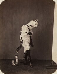 Puss in Boots costume worn by Heinrich Lang