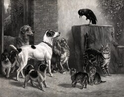 Public domain vintage illustration of dogs and cats and a bird