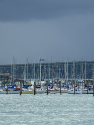 Port before rain in Auckland