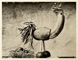 This booby bird is made from fruit, skewers, and tissue paper plumes