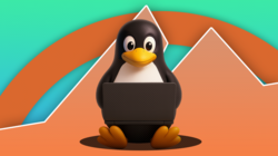 penguin working on a laptop