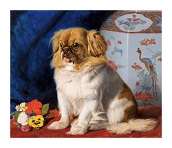 Vintage art dog king spaniel illustration old antique hand drawn drawing painting public domain image restored