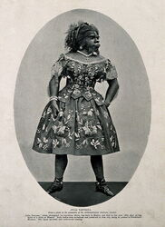 The Embalmed Body of Julia Pastrana on Display