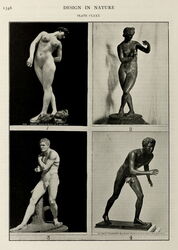 Diagonal screwing movements that occur during walking, swimming, and flying.