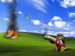 penguin setting windows logo on fire