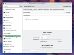 remote desktop system settings