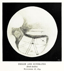 Phison and Euphrates