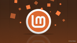 linux mint