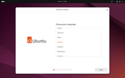 Running Ubuntu 24.04 in a live session