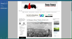 Using Flow Browser to visit our favorite website