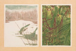 Blue Jays in Winter and Birds of Paradise in the Forest