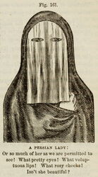 A Persian Lady: Or so much of her as we are permitted to see!