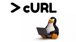 curl
