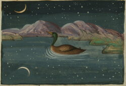 Illustrations from the Lights of Canopus (1847)