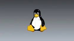 Linux