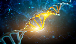 genome illustration
