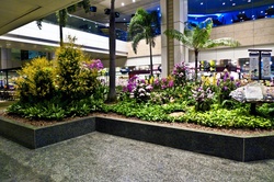 Inside Changi Airport, Terminal 2 Departure Lounge, Singapore