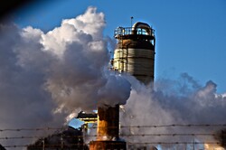 Steam pours from the stacks of a factory