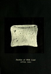Section of Milk Loaf