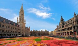 La alfombra de begonias...